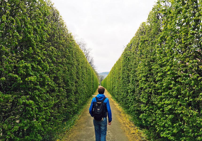 A person walking on a path with trees