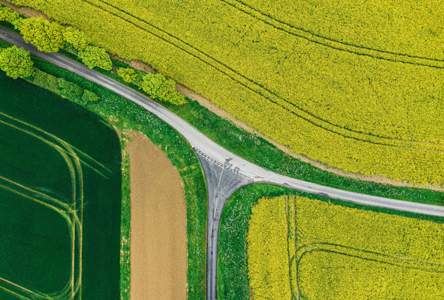 Three way road surrounded by fields and trees.