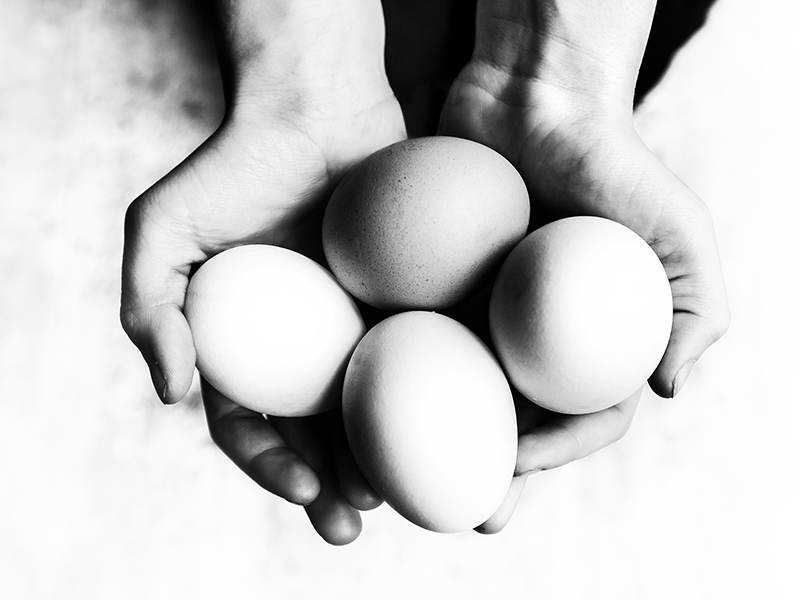 Person holding eggs