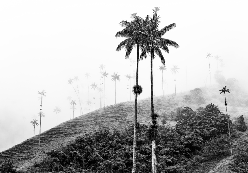 Invierte en Colombia