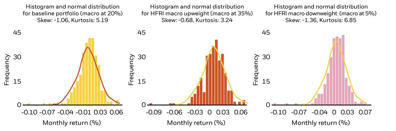 Histogram and distribution of returns by macro weight