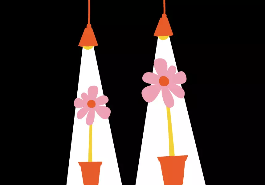 Flowers graphic