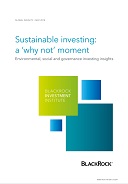 Sustainable investing: a 'why not' moment