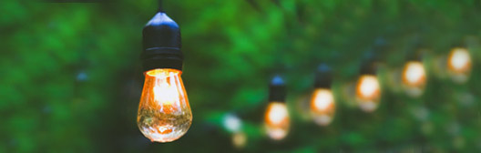 每週全球投資評論