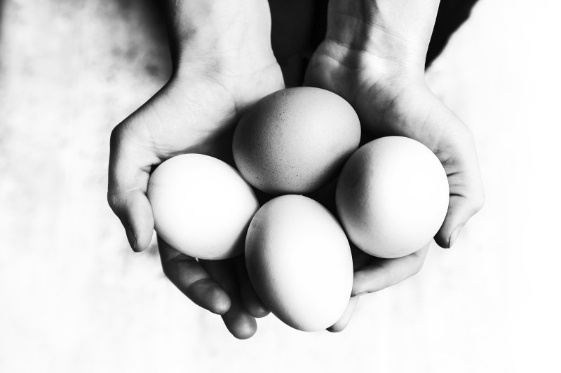 Eggs in hand