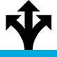 Choice arrow icon