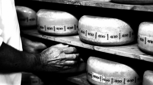 large wheels of cheese on shelves with a hand towards them