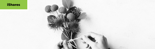 Man holding flowers bouquet