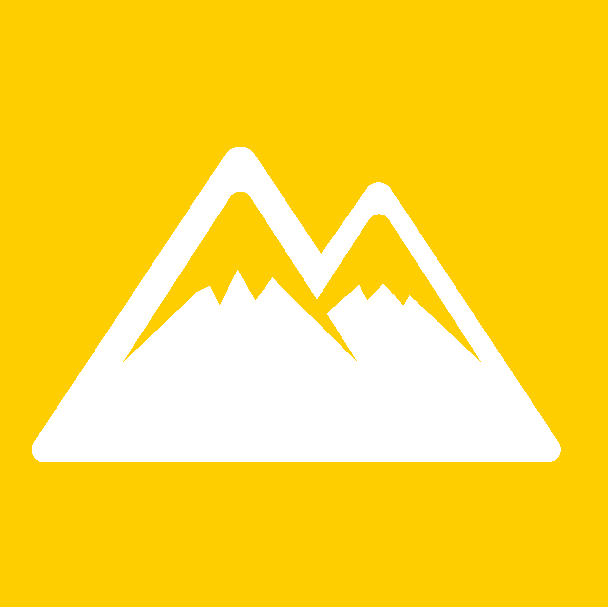 新興国債券（国債、社債等）