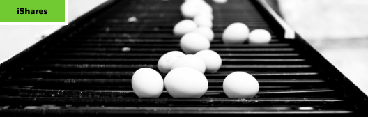 eggs placed on a tray