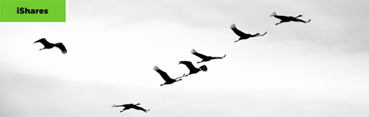group of birds flying across the sky