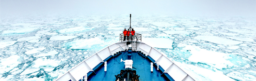 不透明な市場環境を乗り切るために