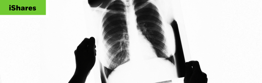 hands holding chest xray