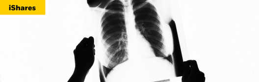 hands holding chest xray