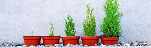 債市迎十年一遇甜蜜點！看懂2大關鍵，抓住投資等級債「息高價廉」好時機