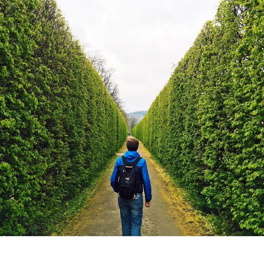 Man walking near trees