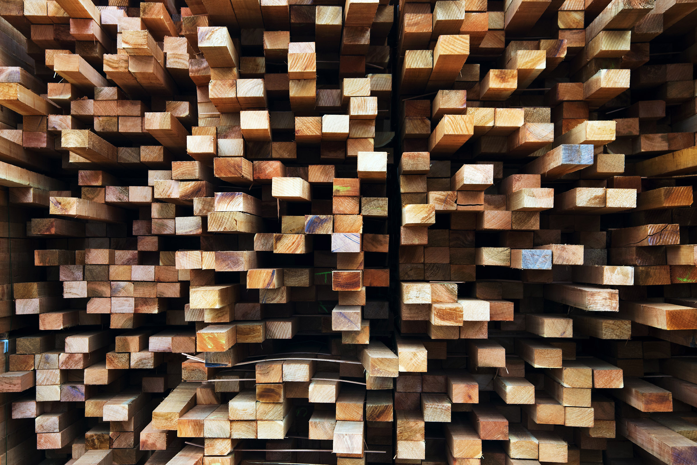 ポートフォリオ