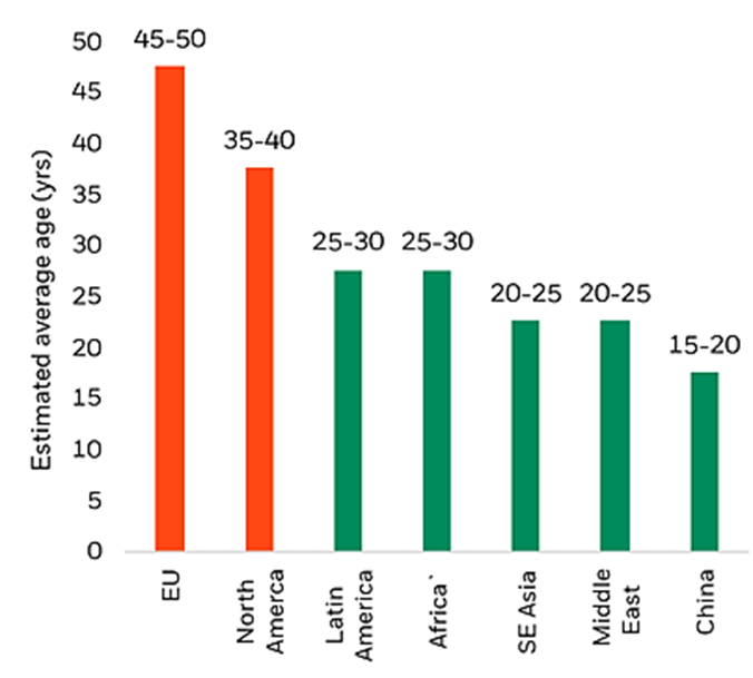 Average regional grid age