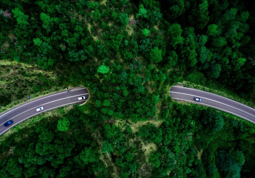 Cars driving through curved forested road