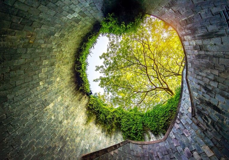 A tree visual at the end of a dark tunnel, framed by the tunnel & curved walls