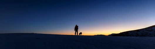 man walking dog at sunset