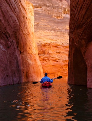 In neutral/muted settings, there should be a pop of bright color