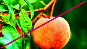 Do not use photography that contains oversaturated or unrealistic colors