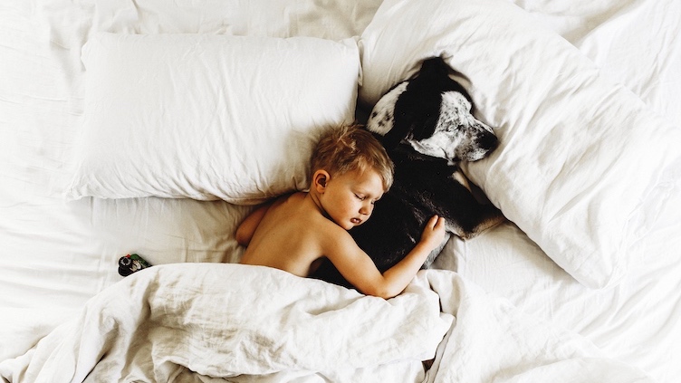 Image CTA medium appearance