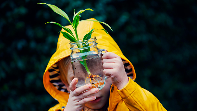 A young child in a yellow raincoat looks at a plant cutting in a jar.