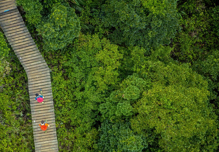Two persons walking on pathway in jungle