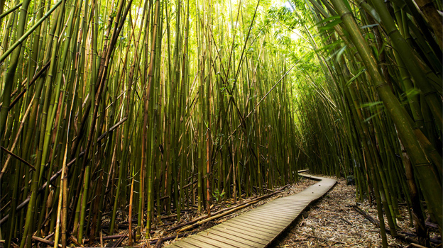 Two people surrounded in circular arrow