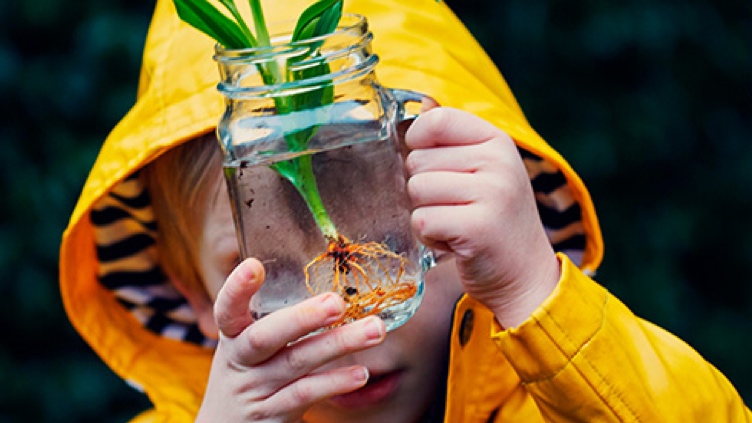 A child wearing a rain jacket observing a a plant with its root inside a mason jar