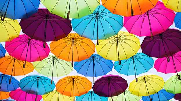 multi-colored opened umbrellas