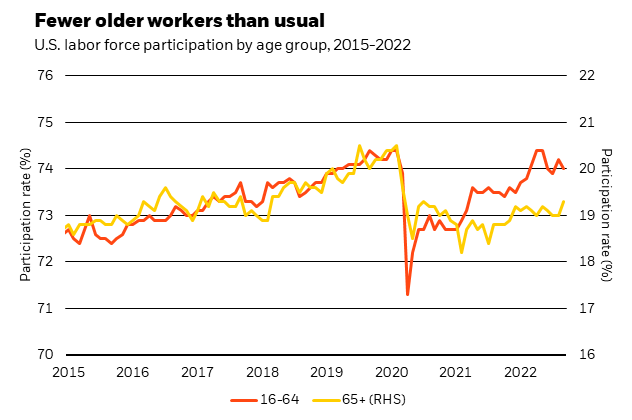 Chart showing a larger fall in participation from those aged 65 and older