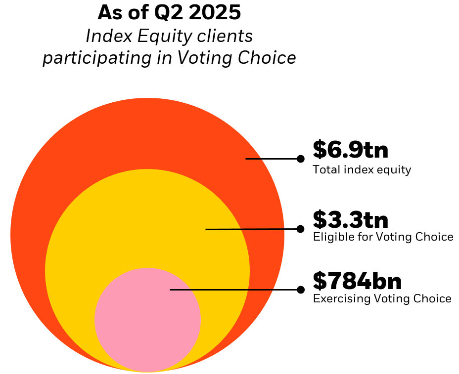 BlackRock Voting Choice AUM