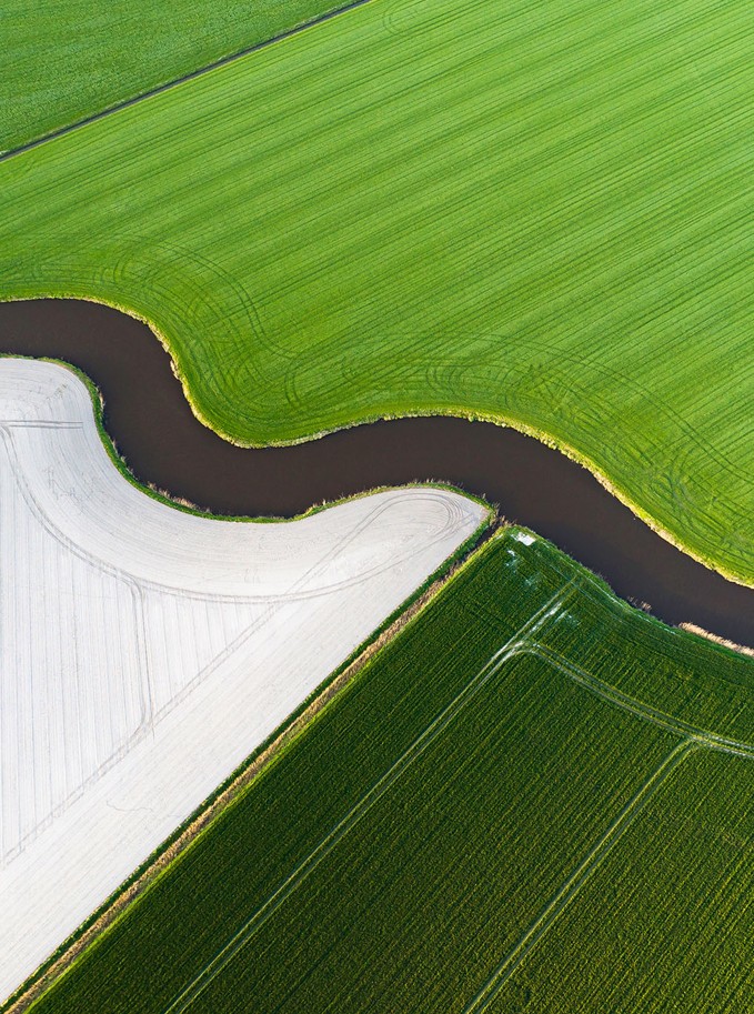 Green fields