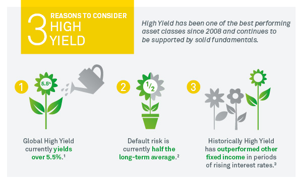 Reasons to consider High Yield