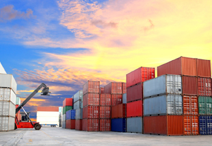 Exchange Traded Funds