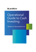 Operational Guide to Cash Investing