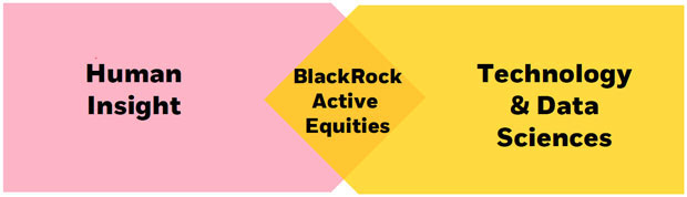 BlackRock Active Equities Philosophy