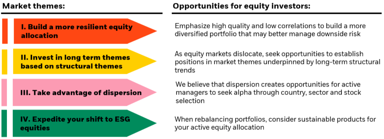 Market themes and the opportunities for equity investors