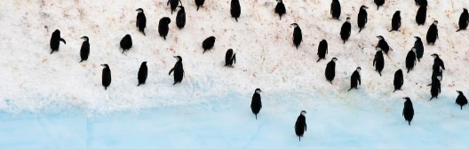 Personalizing whole portfolios at scale