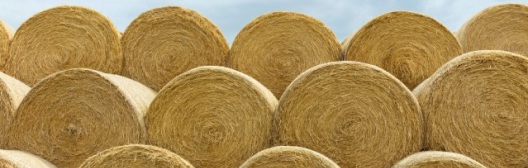 The making of a Market-Driven Scenario