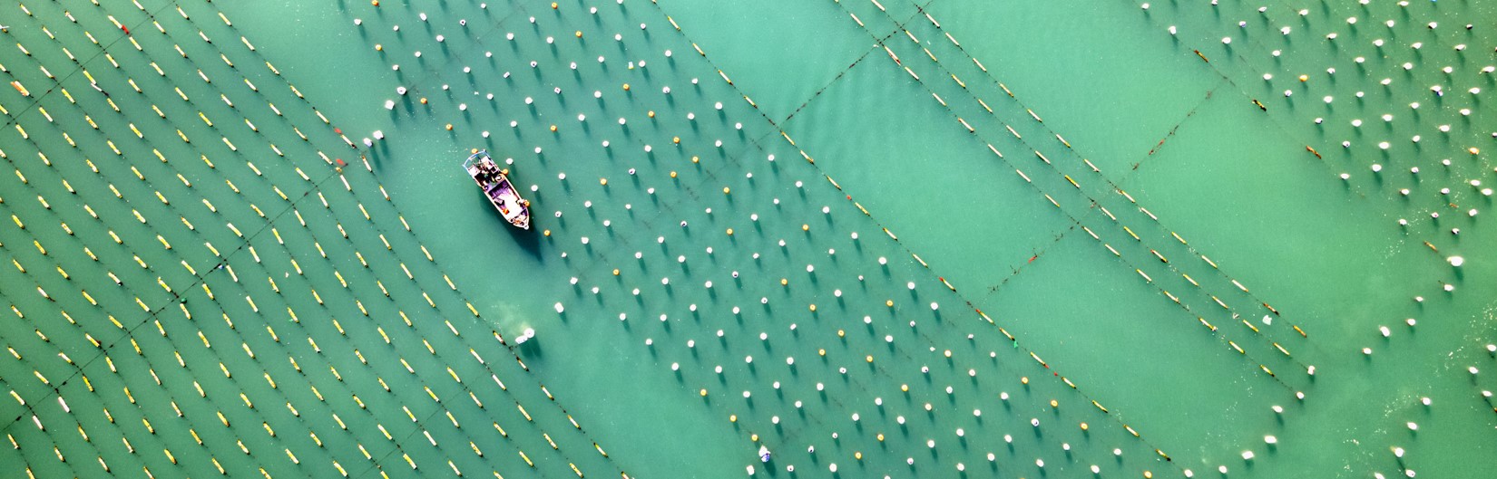 fishermans net and a boat on water