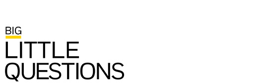 Big little questions video series