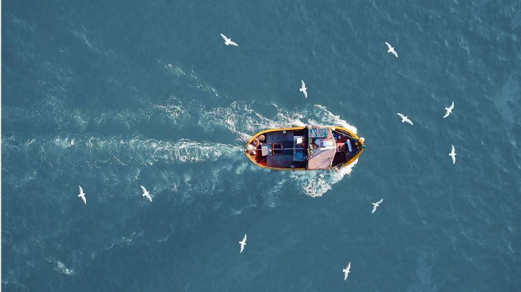 A boat in the water with birds flying around