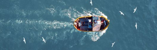 A boat in the water with birds flying around