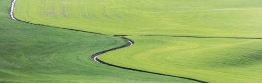 A stream running through a green field