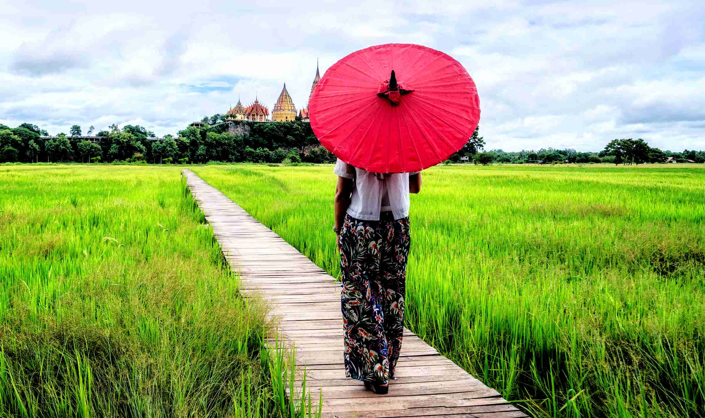 The image shows a person holding a red umbrella walking along a wooden path through a lush green field toward a distant temple.