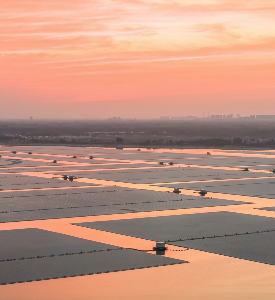 Aerial view of solar panels arranged in rows across a large solar farm at sunset.